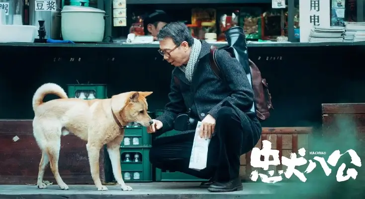 在国外怎样收看春节联欢晚会视频使用方法